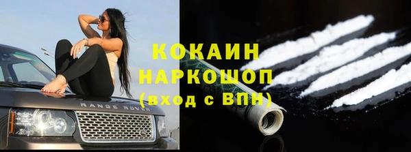 гидра Елизово