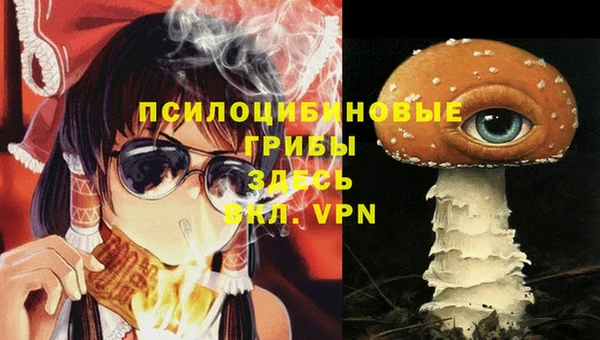 спайс Дмитровск