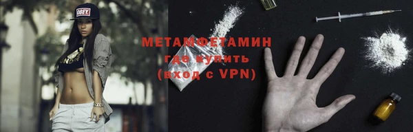 гидра Елизово