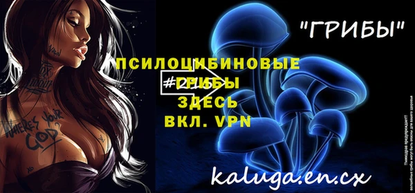 MESCALINE Дмитриев