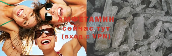 твердый Ельня