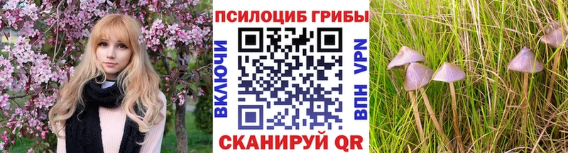 Галлюциногенные грибы GOLDEN TEACHER  Купить закладки  Канск 