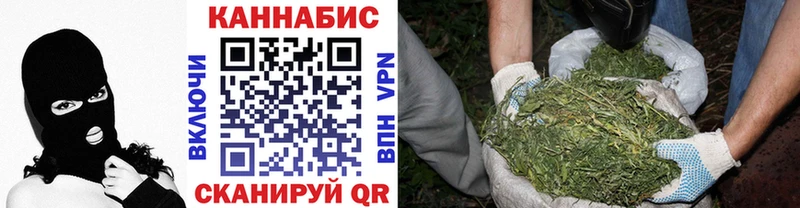 Купить закладки  Канск  Канабис Ganja 